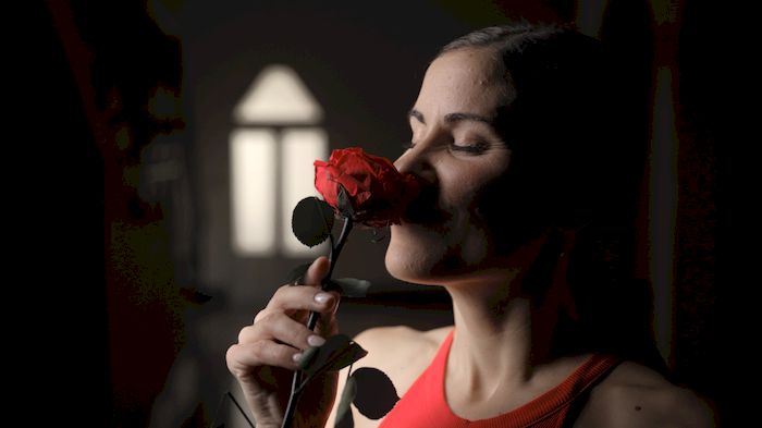 El Petit Princep, La Rosa